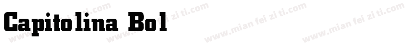 Capitolina Bold字体转换